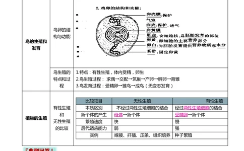 专题06生物的生殖发育、遗传和进化（3大答题模板）（原卷版）_02中考总复习（2026版更新中）_08-生物-中考总复习_2025中考复习资料_2025年中考生物答题方法模板