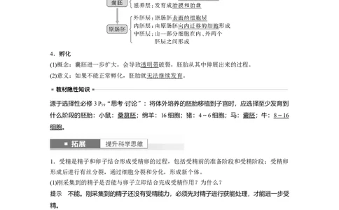 2024年高考生物一轮复习（新人教版）第10单元　第5课时　胚胎工程_09高考生物_2024年新高考资料_1.2024一轮复习_2024年高考生物一轮复习讲义（新人教版）