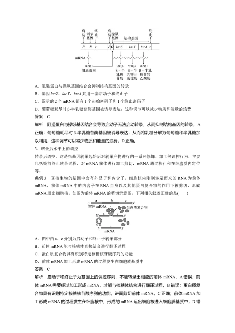 2024年高考生物一轮复习（新人教版）第6单元　微专题四　基因表达调控_09高考生物_2024年新高考资料_1.2024一轮复习_2024年高考生物一轮复习讲义（新人教版）