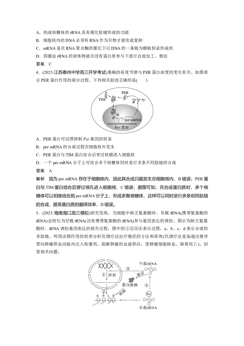 2024年高考生物一轮复习（新人教版）第6单元　微专题四　基因表达调控_09高考生物_2024年新高考资料_1.2024一轮复习_2024年高考生物一轮复习讲义（新人教版）