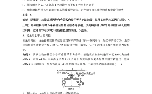 2024年高考生物一轮复习（新人教版）第6单元　微专题四　基因表达调控_09高考生物_2024年新高考资料_1.2024一轮复习_2024年高考生物一轮复习讲义（新人教版）