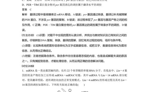 2024年高考生物一轮复习（新人教版）第6单元　微专题四　基因表达调控_09高考生物_2024年新高考资料_1.2024一轮复习_2024年高考生物一轮复习讲义（新人教版）