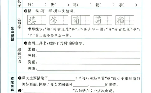 阳光同学四年级上册语文人教版预习单h_26春四年级上下册人教版_四上英语合集人教版PEP英语四年级上册新教材（教学视频+课件+动画+音频+练习+教案）_17练习资料_《预习卡》_1-6上册