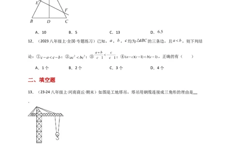 专题11.2三角形的边（精选精练）（专项练习）-（人教版）_初中数学_八年级数学上册（人教版）_专题突破练习-V4_2025版