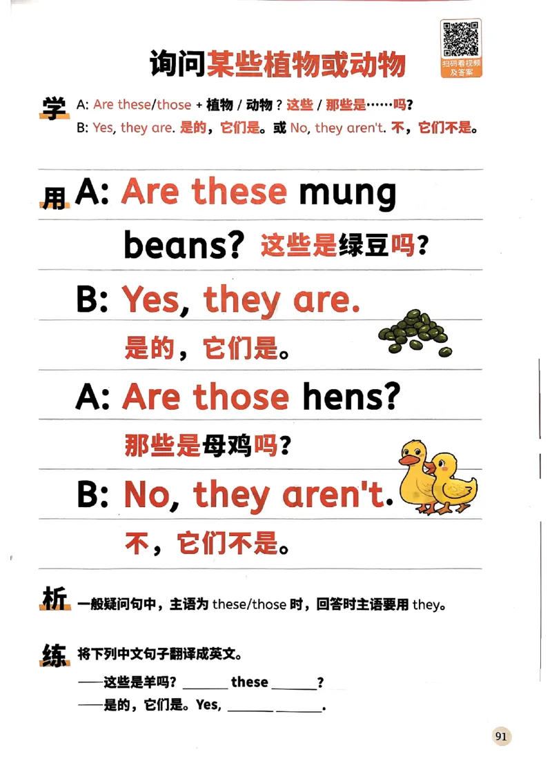 斗半匠-小学英语句式一本通_26春四年级上下册人教版_四上英语合集人教版PEP英语四年级上册新教材（教学视频+课件+动画+音频+练习+教案）_17练习资料_《小学英语一本通》