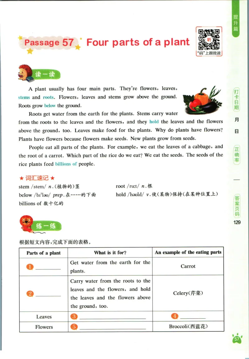 星火英语阅读训练100篇六年级_26春四年级上下册人教版_四上英语合集人教版PEP英语四年级上册新教材（教学视频+课件+动画+音频+练习+教案）_17练习资料_《阅读训练100篇》