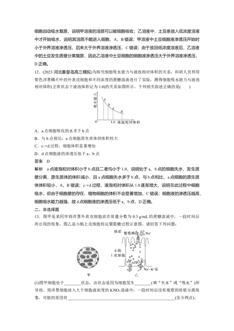 2024年高考生物一轮复习（新人教版）第2单元　第4课时　水进出细胞的原理_09高考生物_2024年新高考资料_1.2024一轮复习_2024年高考生物一轮复习讲义（新人教版）