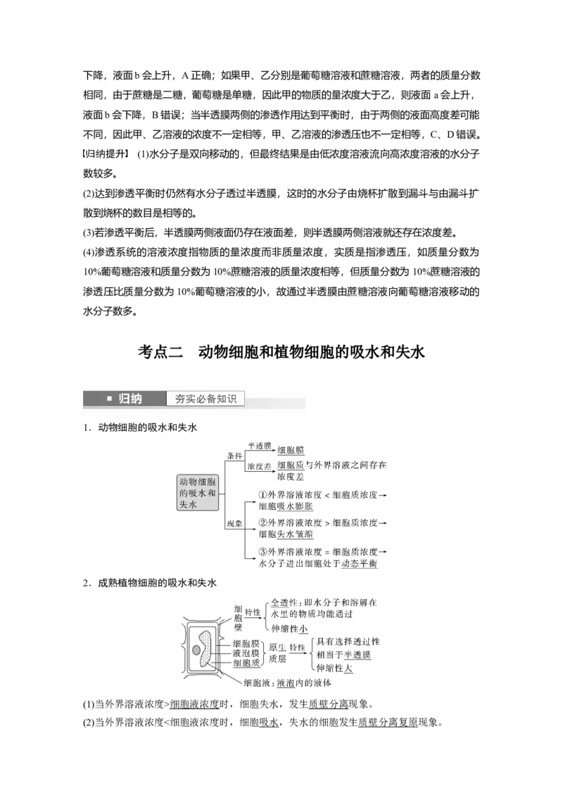 2024年高考生物一轮复习（新人教版）第2单元　第4课时　水进出细胞的原理_09高考生物_2024年新高考资料_1.2024一轮复习_2024年高考生物一轮复习讲义（新人教版）