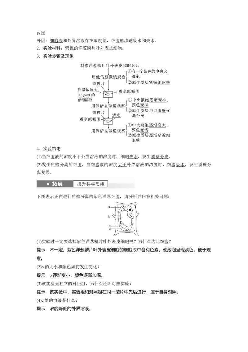 2024年高考生物一轮复习（新人教版）第2单元　第4课时　水进出细胞的原理_09高考生物_2024年新高考资料_1.2024一轮复习_2024年高考生物一轮复习讲义（新人教版）