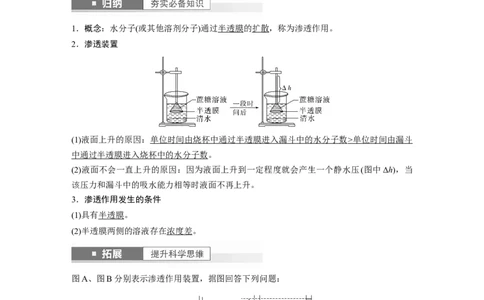 2024年高考生物一轮复习（新人教版）第2单元　第4课时　水进出细胞的原理_09高考生物_2024年新高考资料_1.2024一轮复习_2024年高考生物一轮复习讲义（新人教版）