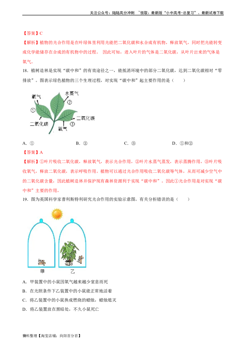 专题07绿色植物的光合作用（习题精练）（解析版）_02中考总复习（2026版更新中）_08-生物-中考总复习_2024年中考复习资料_一轮复习_配套练习（原卷版+解析版）_答案解析版