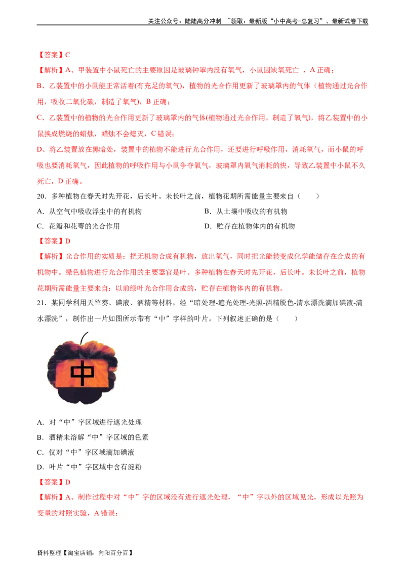 专题07绿色植物的光合作用（习题精练）（解析版）_02中考总复习（2026版更新中）_08-生物-中考总复习_2024年中考复习资料_一轮复习_配套练习（原卷版+解析版）_答案解析版