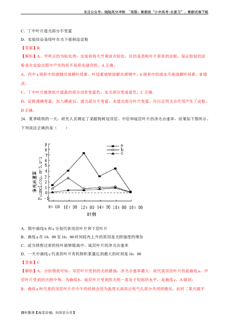 专题07绿色植物的光合作用（习题精练）（解析版）_02中考总复习（2026版更新中）_08-生物-中考总复习_2024年中考复习资料_一轮复习_配套练习（原卷版+解析版）_答案解析版