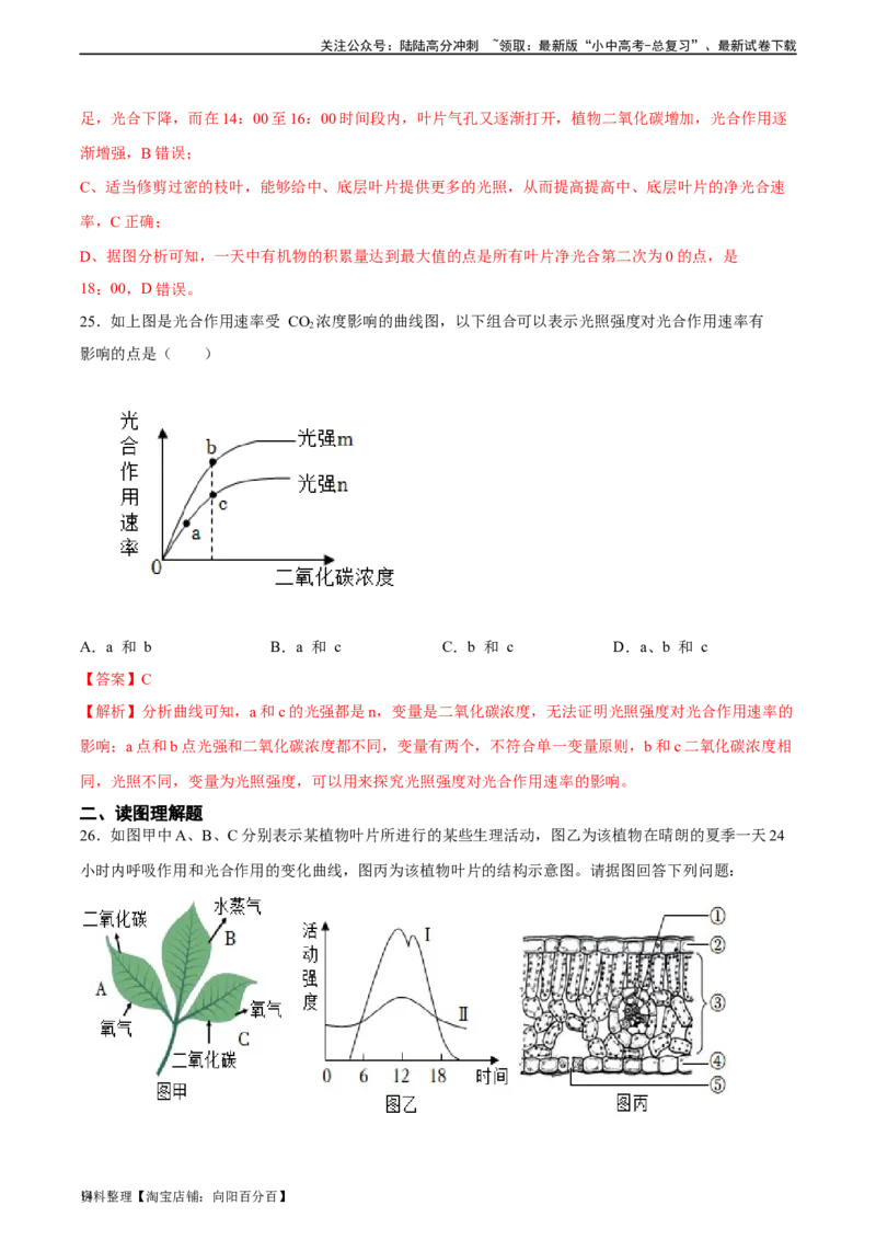 专题07绿色植物的光合作用（习题精练）（解析版）_02中考总复习（2026版更新中）_08-生物-中考总复习_2024年中考复习资料_一轮复习_配套练习（原卷版+解析版）_答案解析版