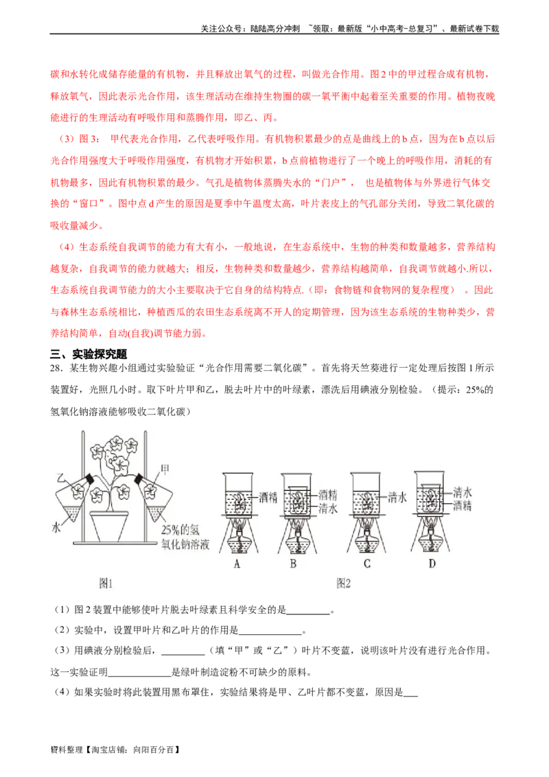 专题07绿色植物的光合作用（习题精练）（解析版）_02中考总复习（2026版更新中）_08-生物-中考总复习_2024年中考复习资料_一轮复习_配套练习（原卷版+解析版）_答案解析版