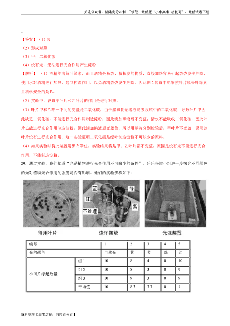 专题07绿色植物的光合作用（习题精练）（解析版）_02中考总复习（2026版更新中）_08-生物-中考总复习_2024年中考复习资料_一轮复习_配套练习（原卷版+解析版）_答案解析版