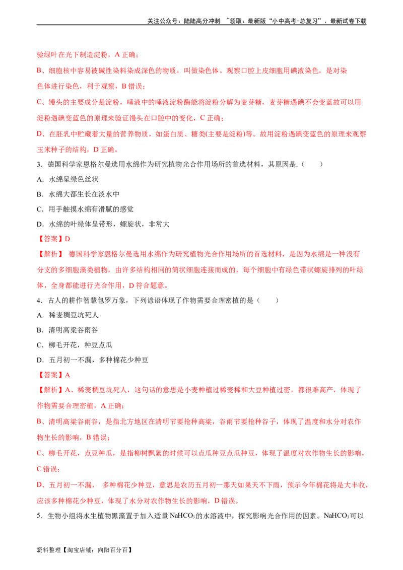 专题07绿色植物的光合作用（习题精练）（解析版）_02中考总复习（2026版更新中）_08-生物-中考总复习_2024年中考复习资料_一轮复习_配套练习（原卷版+解析版）_答案解析版