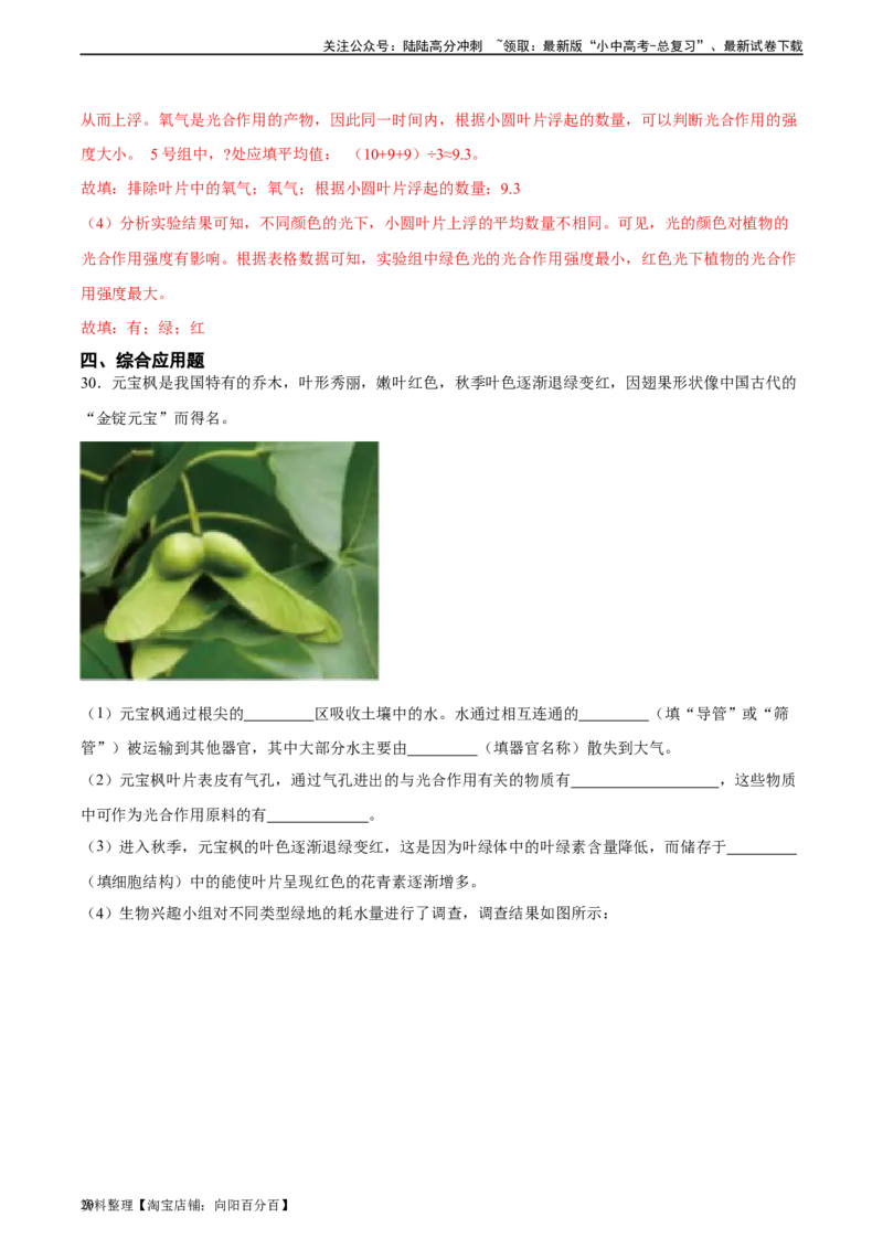 专题07绿色植物的光合作用（习题精练）（解析版）_02中考总复习（2026版更新中）_08-生物-中考总复习_2024年中考复习资料_一轮复习_配套练习（原卷版+解析版）_答案解析版