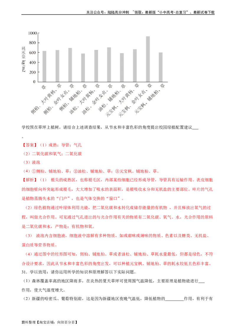 专题07绿色植物的光合作用（习题精练）（解析版）_02中考总复习（2026版更新中）_08-生物-中考总复习_2024年中考复习资料_一轮复习_配套练习（原卷版+解析版）_答案解析版