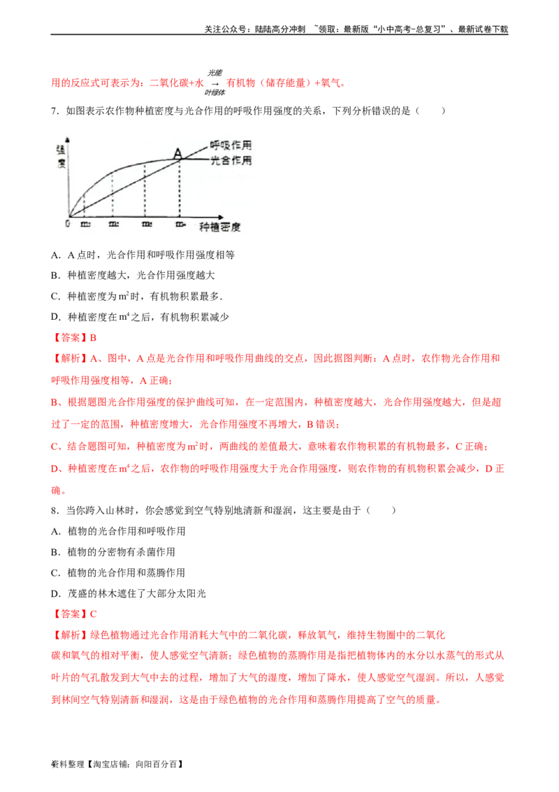 专题07绿色植物的光合作用（习题精练）（解析版）_02中考总复习（2026版更新中）_08-生物-中考总复习_2024年中考复习资料_一轮复习_配套练习（原卷版+解析版）_答案解析版