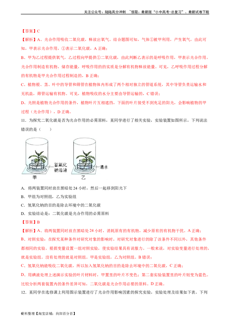 专题07绿色植物的光合作用（习题精练）（解析版）_02中考总复习（2026版更新中）_08-生物-中考总复习_2024年中考复习资料_一轮复习_配套练习（原卷版+解析版）_答案解析版