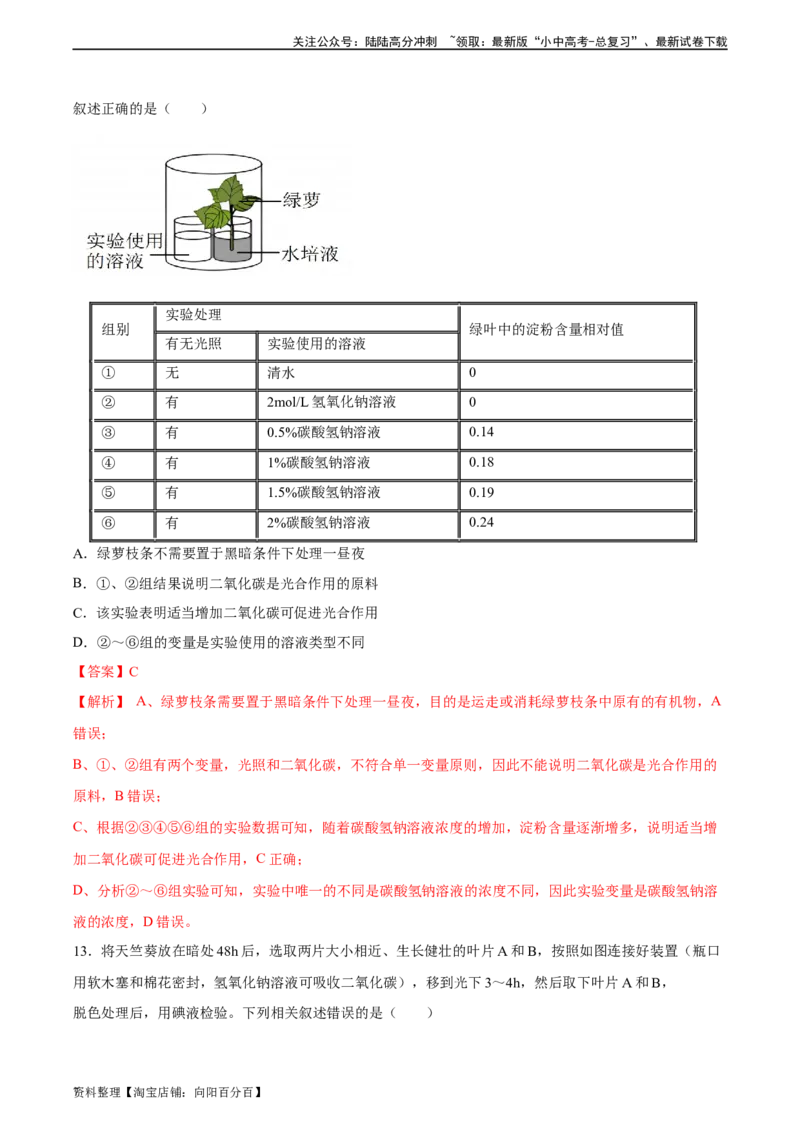 专题07绿色植物的光合作用（习题精练）（解析版）_02中考总复习（2026版更新中）_08-生物-中考总复习_2024年中考复习资料_一轮复习_配套练习（原卷版+解析版）_答案解析版