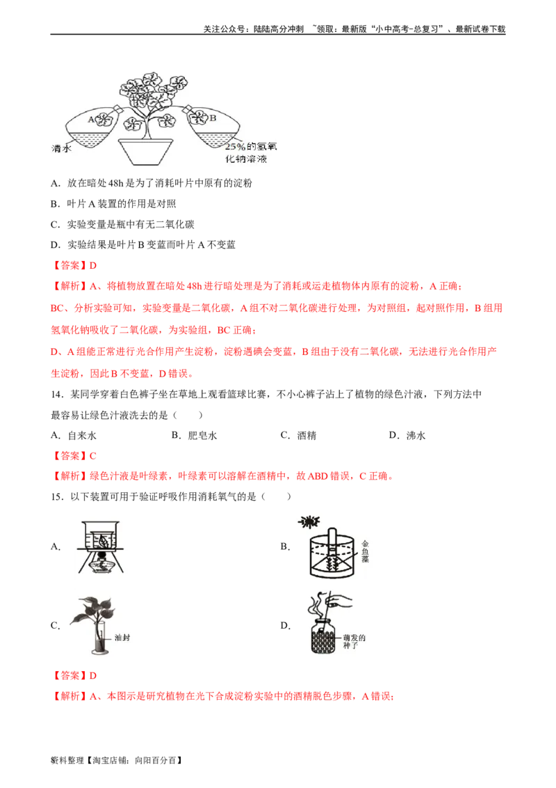 专题07绿色植物的光合作用（习题精练）（解析版）_02中考总复习（2026版更新中）_08-生物-中考总复习_2024年中考复习资料_一轮复习_配套练习（原卷版+解析版）_答案解析版