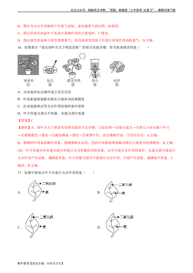 专题07绿色植物的光合作用（习题精练）（解析版）_02中考总复习（2026版更新中）_08-生物-中考总复习_2024年中考复习资料_一轮复习_配套练习（原卷版+解析版）_答案解析版