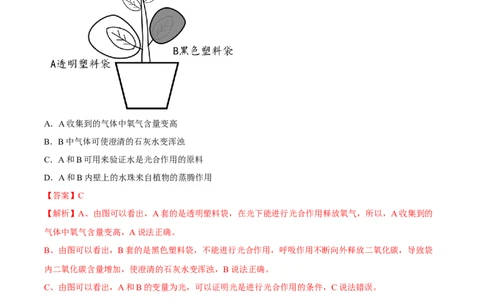 专题07绿色植物的光合作用（习题精练）（解析版）_02中考总复习（2026版更新中）_08-生物-中考总复习_2024年中考复习资料_一轮复习_配套练习（原卷版+解析版）_答案解析版