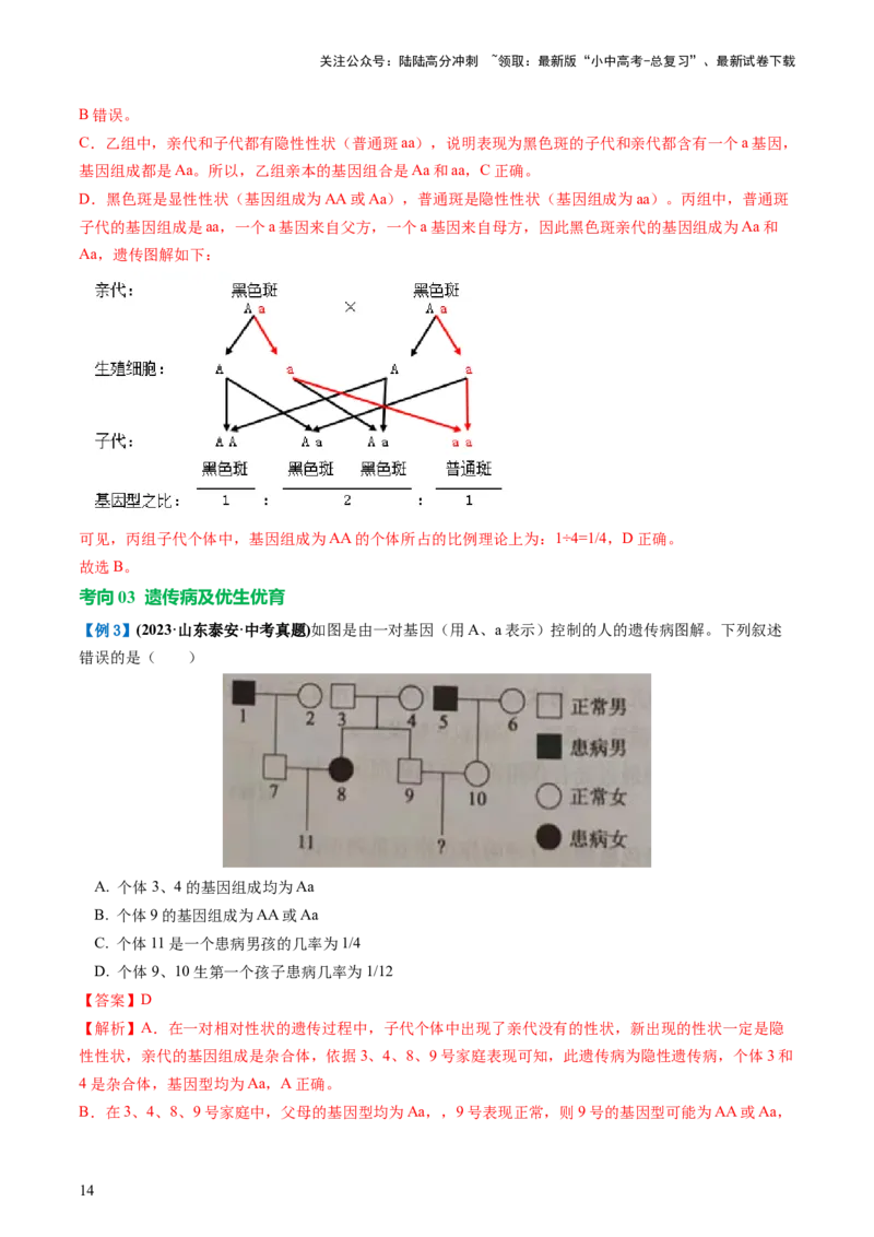 专题21生物的遗传和变异（讲义）（解析版）_02中考总复习（2026版更新中）_08-生物-中考总复习_2024年中考复习资料_一轮复习_❤2024年中考生物一轮复习讲练测（全国通用）_讲义