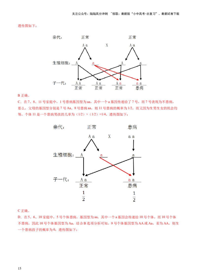 专题21生物的遗传和变异（讲义）（解析版）_02中考总复习（2026版更新中）_08-生物-中考总复习_2024年中考复习资料_一轮复习_❤2024年中考生物一轮复习讲练测（全国通用）_讲义