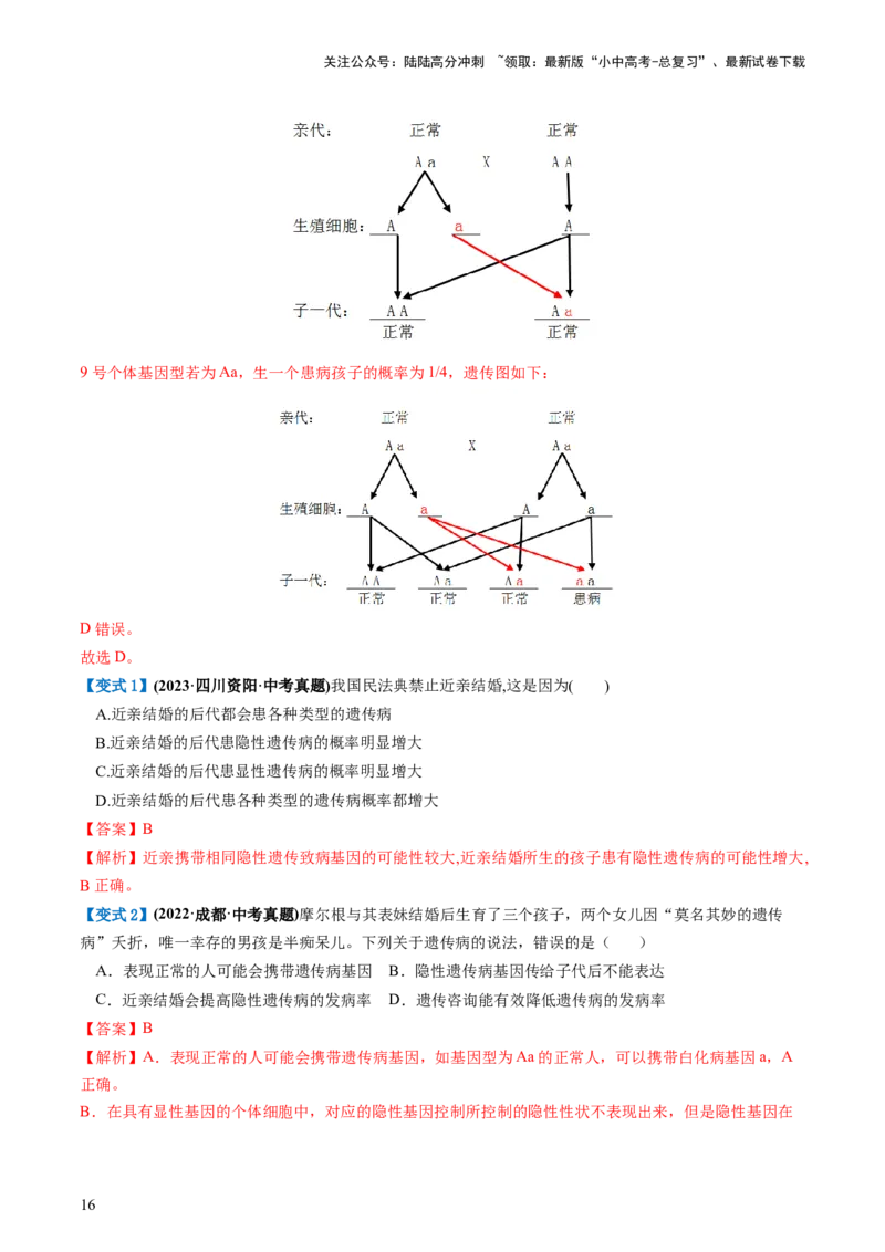 专题21生物的遗传和变异（讲义）（解析版）_02中考总复习（2026版更新中）_08-生物-中考总复习_2024年中考复习资料_一轮复习_❤2024年中考生物一轮复习讲练测（全国通用）_讲义