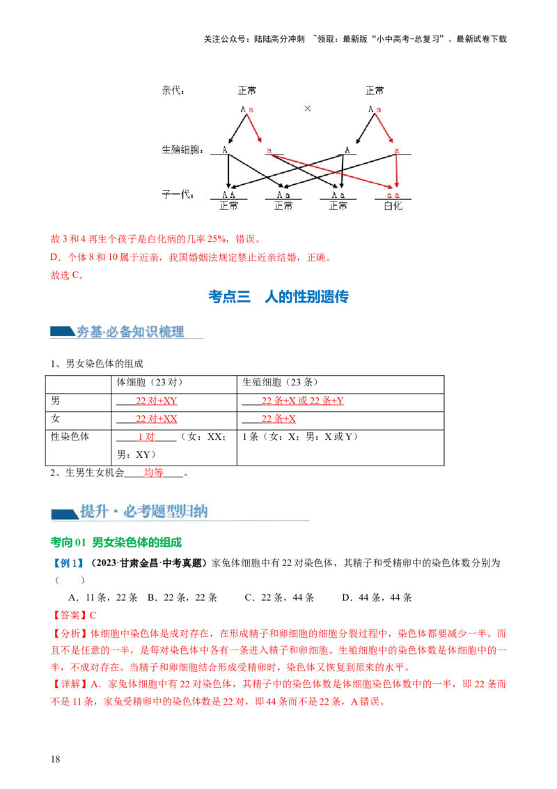 专题21生物的遗传和变异（讲义）（解析版）_02中考总复习（2026版更新中）_08-生物-中考总复习_2024年中考复习资料_一轮复习_❤2024年中考生物一轮复习讲练测（全国通用）_讲义