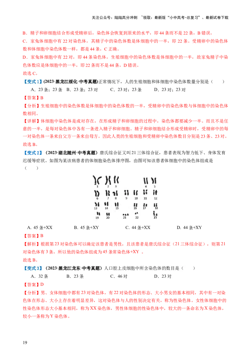 专题21生物的遗传和变异（讲义）（解析版）_02中考总复习（2026版更新中）_08-生物-中考总复习_2024年中考复习资料_一轮复习_❤2024年中考生物一轮复习讲练测（全国通用）_讲义