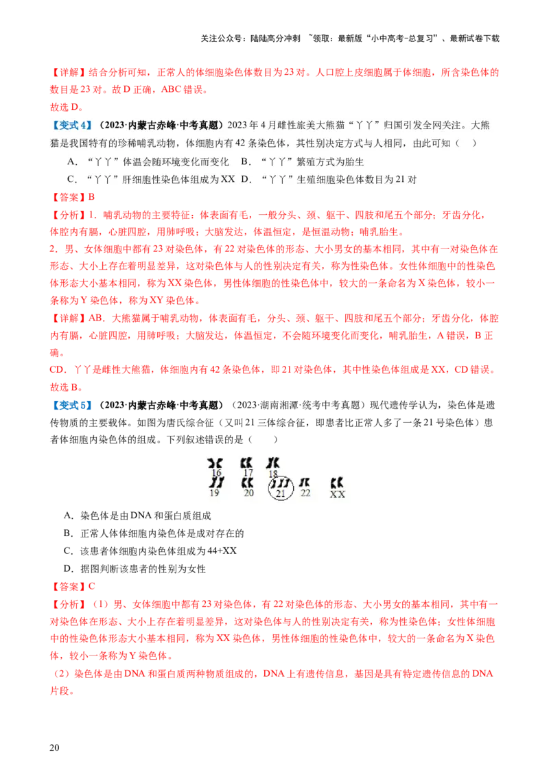 专题21生物的遗传和变异（讲义）（解析版）_02中考总复习（2026版更新中）_08-生物-中考总复习_2024年中考复习资料_一轮复习_❤2024年中考生物一轮复习讲练测（全国通用）_讲义