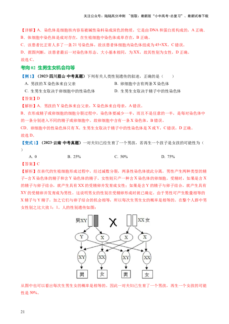 专题21生物的遗传和变异（讲义）（解析版）_02中考总复习（2026版更新中）_08-生物-中考总复习_2024年中考复习资料_一轮复习_❤2024年中考生物一轮复习讲练测（全国通用）_讲义