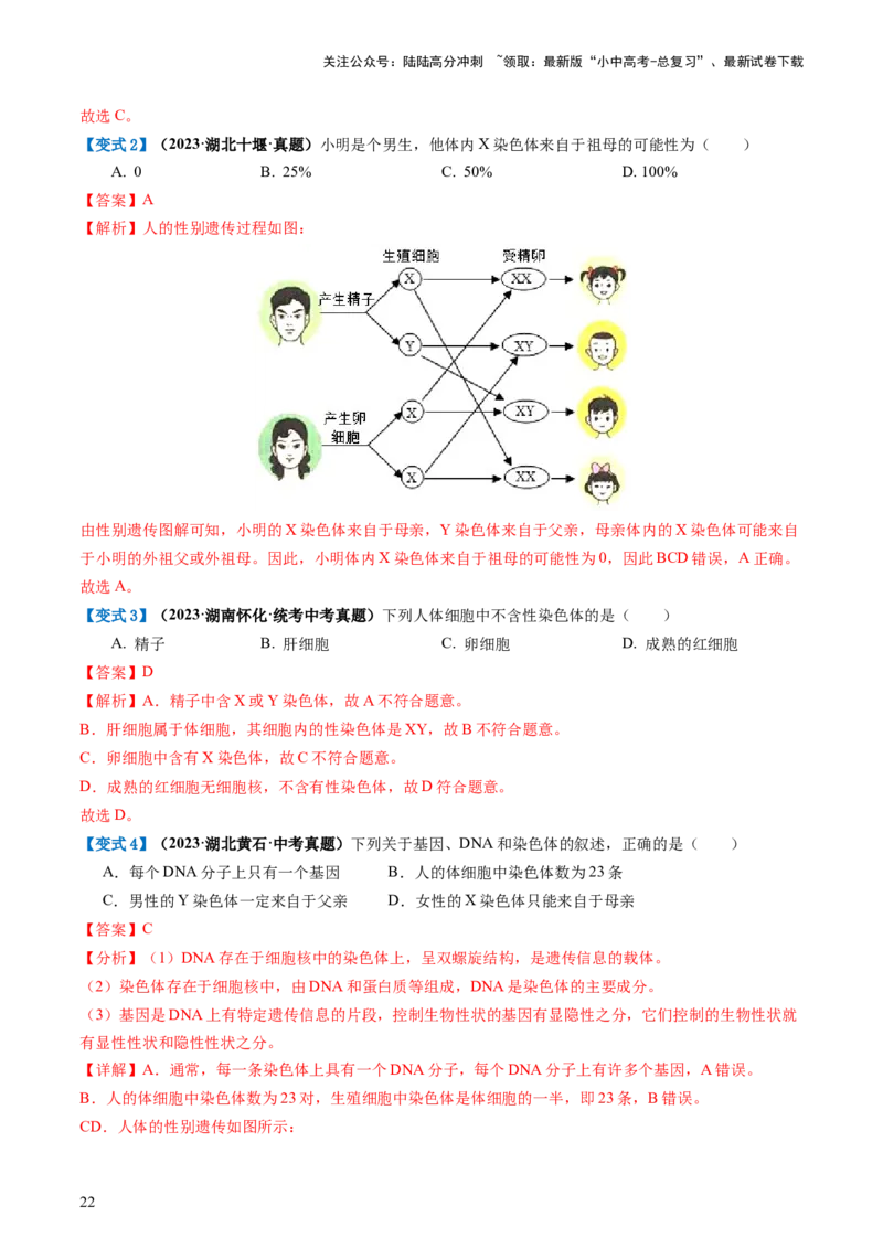 专题21生物的遗传和变异（讲义）（解析版）_02中考总复习（2026版更新中）_08-生物-中考总复习_2024年中考复习资料_一轮复习_❤2024年中考生物一轮复习讲练测（全国通用）_讲义
