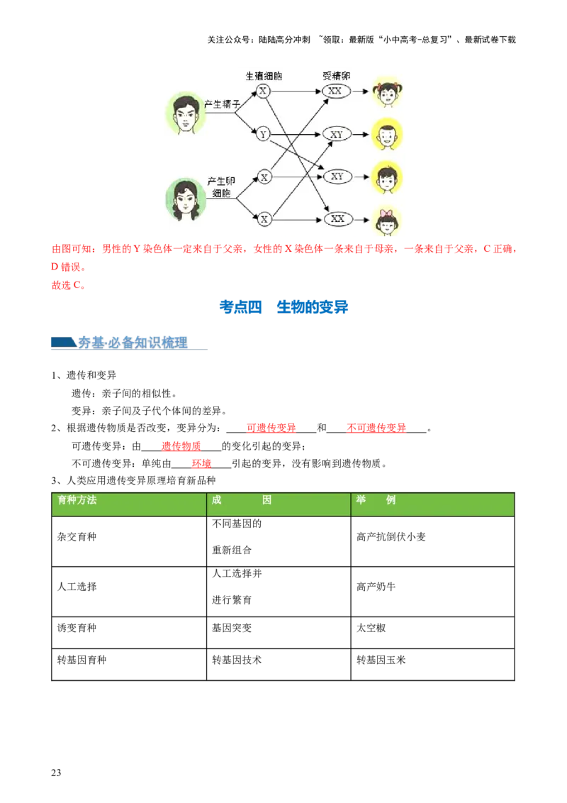 专题21生物的遗传和变异（讲义）（解析版）_02中考总复习（2026版更新中）_08-生物-中考总复习_2024年中考复习资料_一轮复习_❤2024年中考生物一轮复习讲练测（全国通用）_讲义