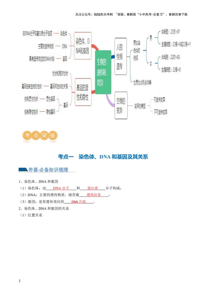 专题21生物的遗传和变异（讲义）（解析版）_02中考总复习（2026版更新中）_08-生物-中考总复习_2024年中考复习资料_一轮复习_❤2024年中考生物一轮复习讲练测（全国通用）_讲义