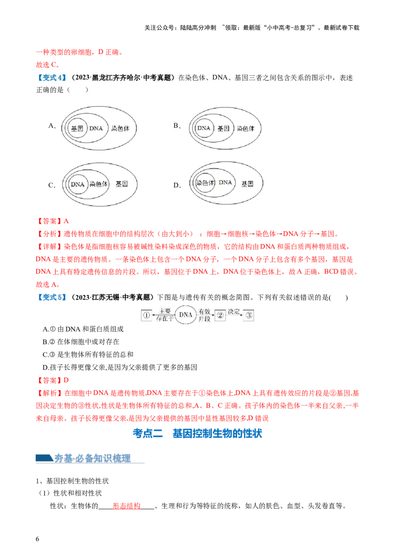 专题21生物的遗传和变异（讲义）（解析版）_02中考总复习（2026版更新中）_08-生物-中考总复习_2024年中考复习资料_一轮复习_❤2024年中考生物一轮复习讲练测（全国通用）_讲义