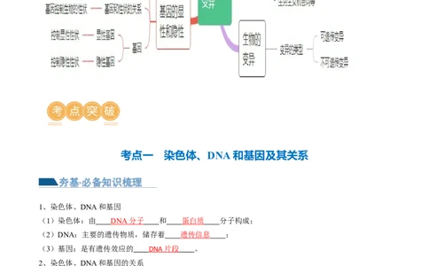 专题21生物的遗传和变异（讲义）（解析版）_02中考总复习（2026版更新中）_08-生物-中考总复习_2024年中考复习资料_一轮复习_❤2024年中考生物一轮复习讲练测（全国通用）_讲义
