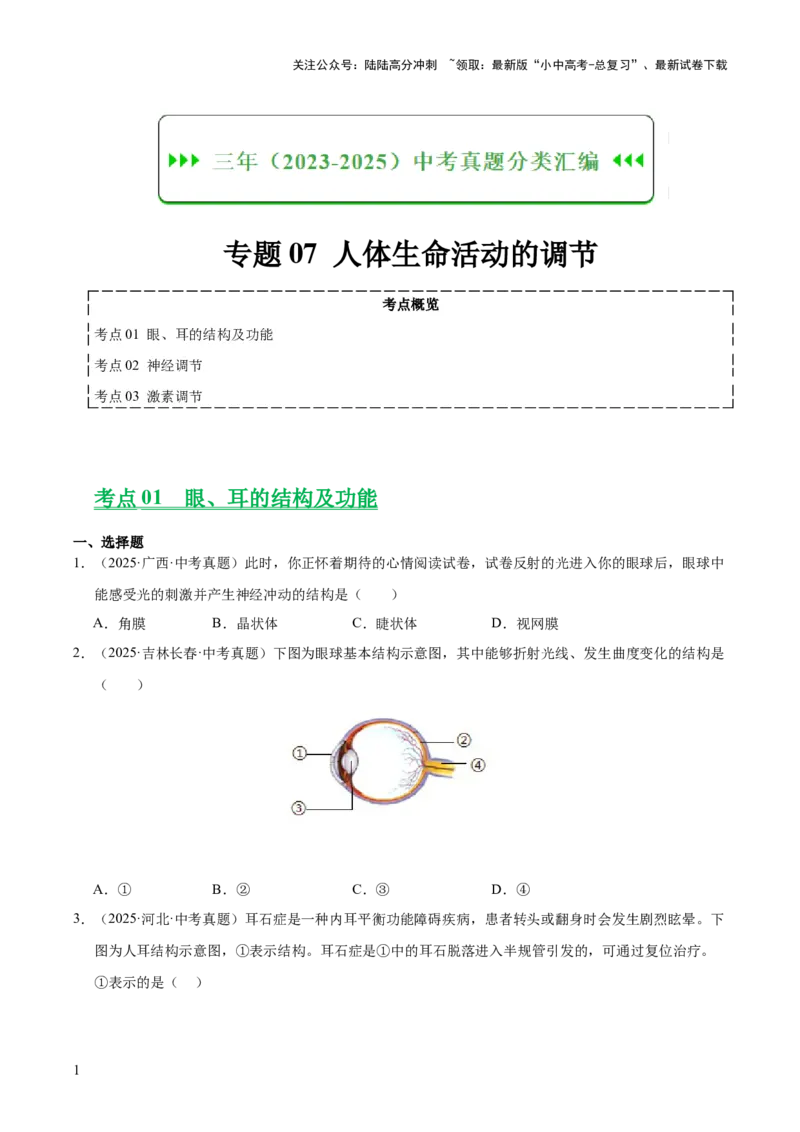 专题07人体生命活动的调节（全国通用）（原卷版）_02中考总复习（2026版更新中）_08-生物-中考总复习_2026年中考复习（更新中）