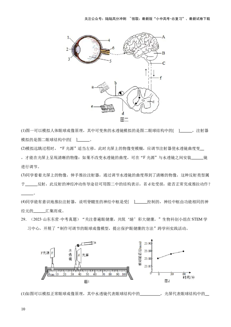 专题07人体生命活动的调节（全国通用）（原卷版）_02中考总复习（2026版更新中）_08-生物-中考总复习_2026年中考复习（更新中）
