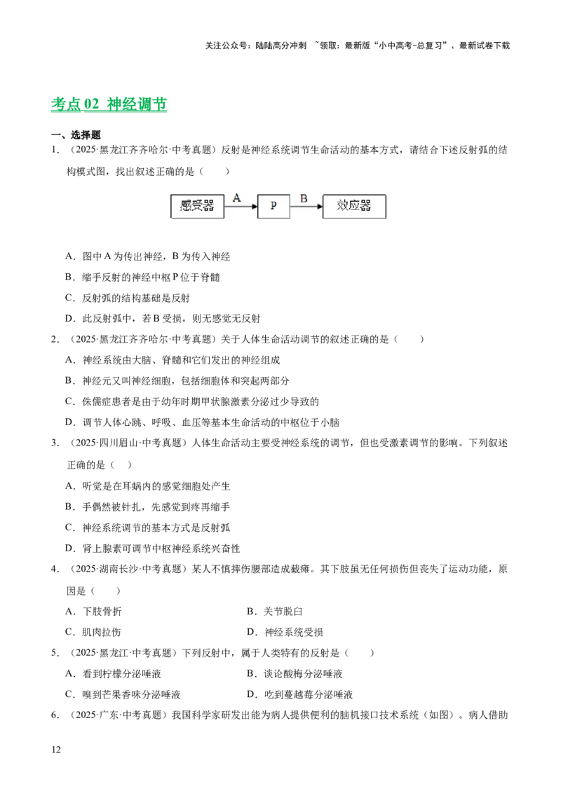专题07人体生命活动的调节（全国通用）（原卷版）_02中考总复习（2026版更新中）_08-生物-中考总复习_2026年中考复习（更新中）