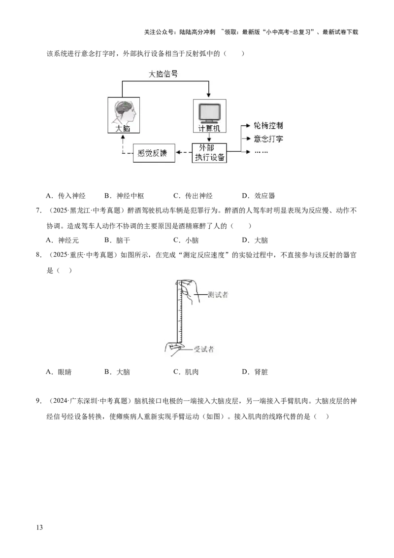 专题07人体生命活动的调节（全国通用）（原卷版）_02中考总复习（2026版更新中）_08-生物-中考总复习_2026年中考复习（更新中）