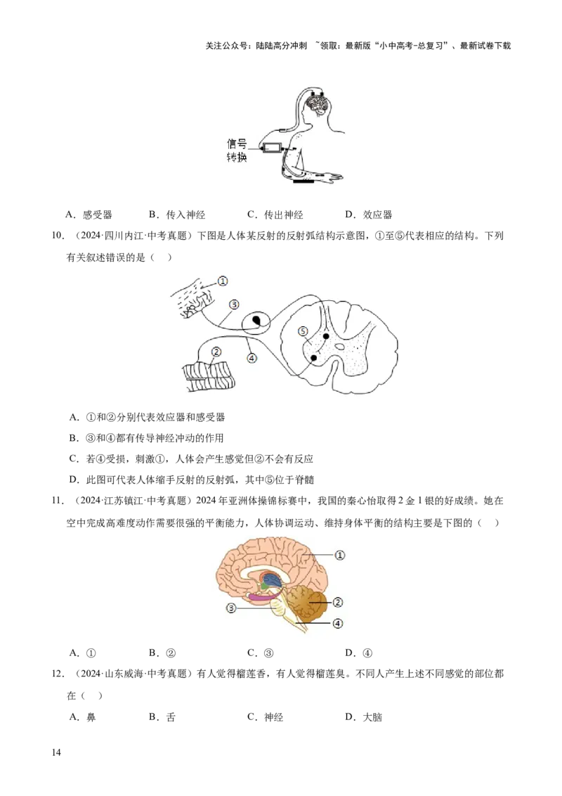 专题07人体生命活动的调节（全国通用）（原卷版）_02中考总复习（2026版更新中）_08-生物-中考总复习_2026年中考复习（更新中）