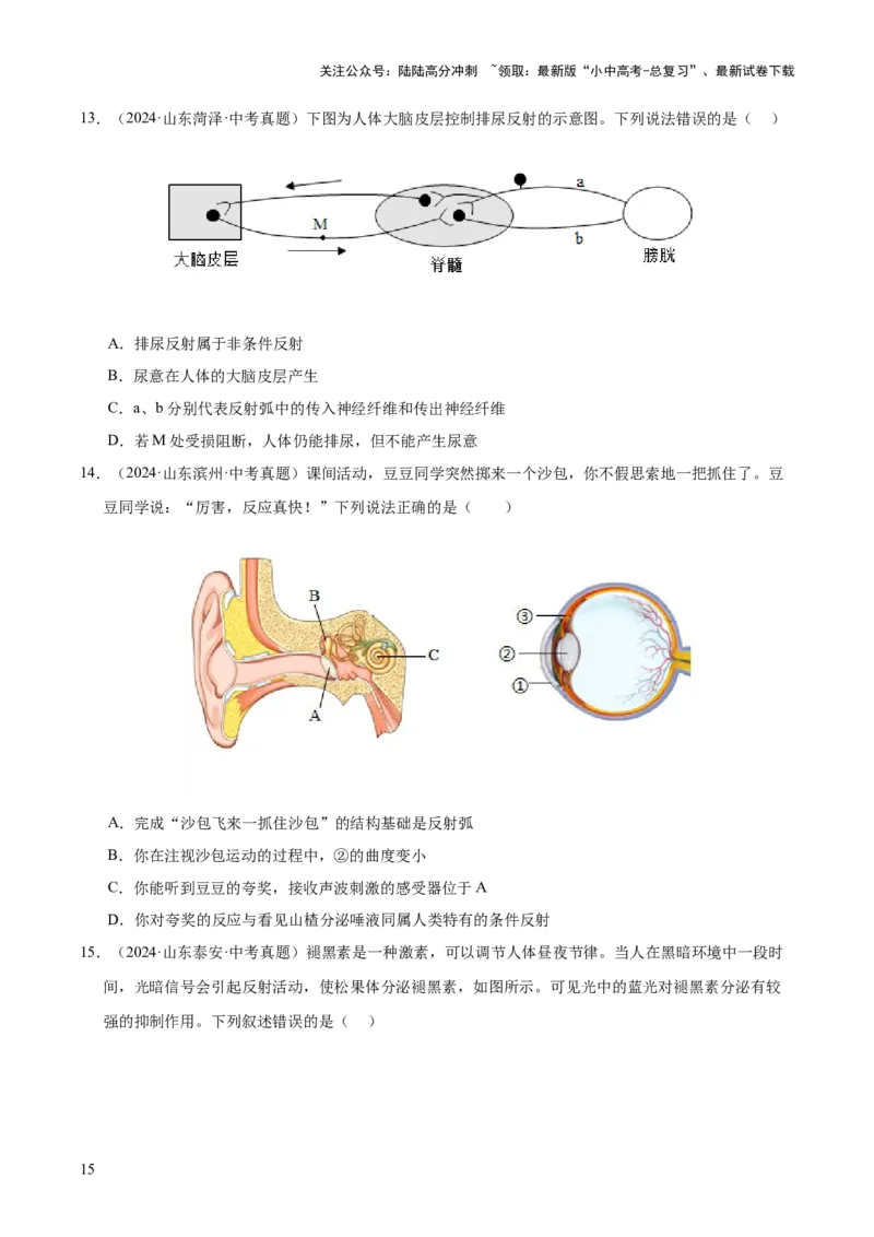 专题07人体生命活动的调节（全国通用）（原卷版）_02中考总复习（2026版更新中）_08-生物-中考总复习_2026年中考复习（更新中）