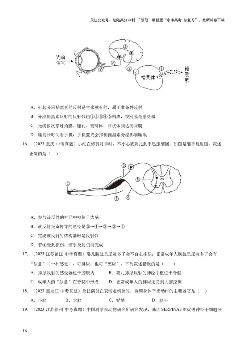 专题07人体生命活动的调节（全国通用）（原卷版）_02中考总复习（2026版更新中）_08-生物-中考总复习_2026年中考复习（更新中）