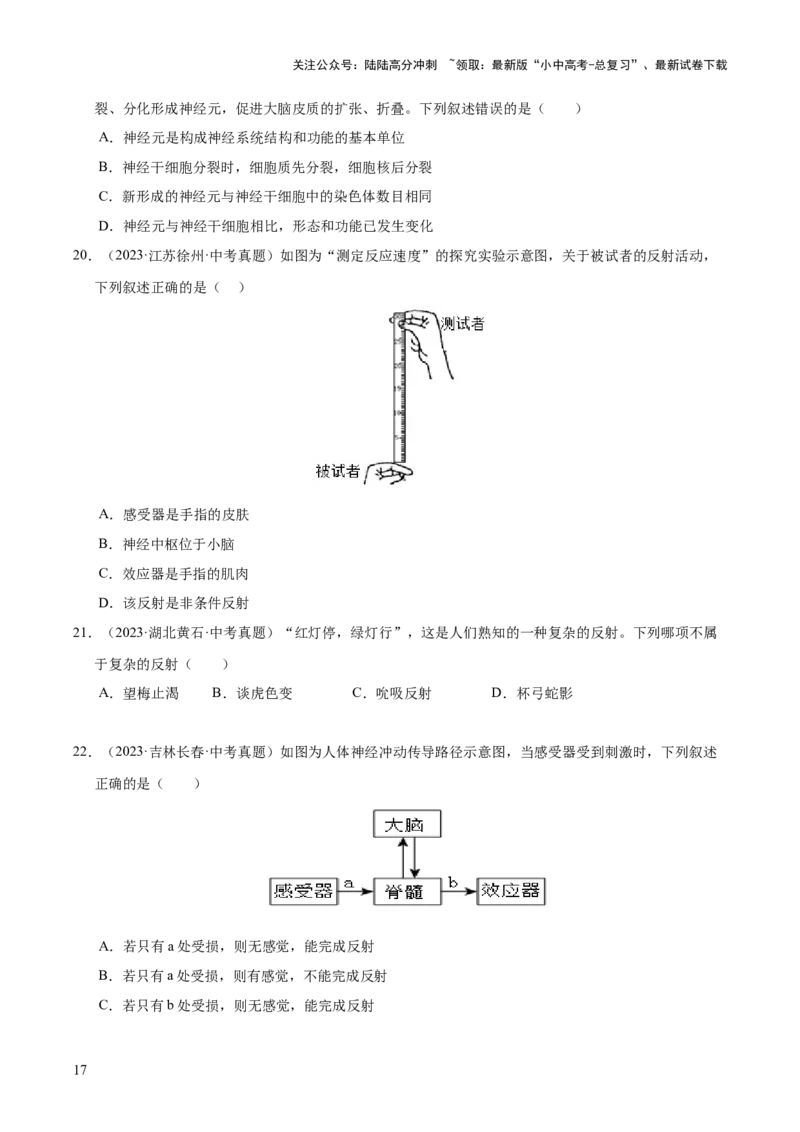 专题07人体生命活动的调节（全国通用）（原卷版）_02中考总复习（2026版更新中）_08-生物-中考总复习_2026年中考复习（更新中）