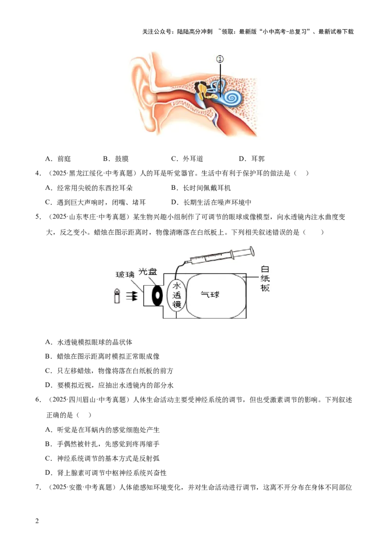 专题07人体生命活动的调节（全国通用）（原卷版）_02中考总复习（2026版更新中）_08-生物-中考总复习_2026年中考复习（更新中）
